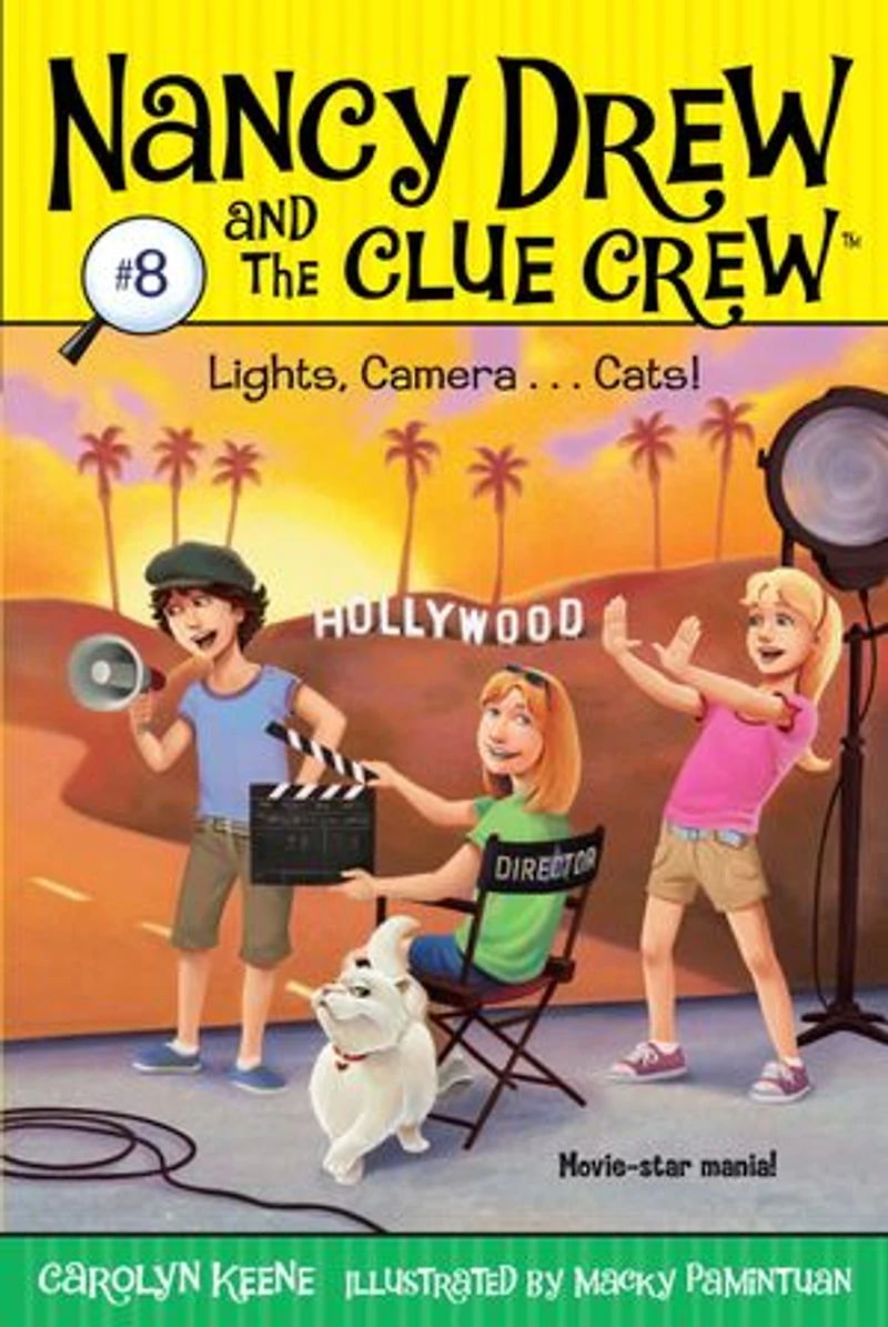 Lights, Camera . Cats!