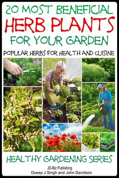 20 Most Beneficial Herb Plants for Your Garden