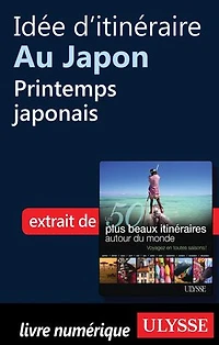 50 PLUS BEAUX ITINÉRAIRES AUTOUR DU MONDE (LES)