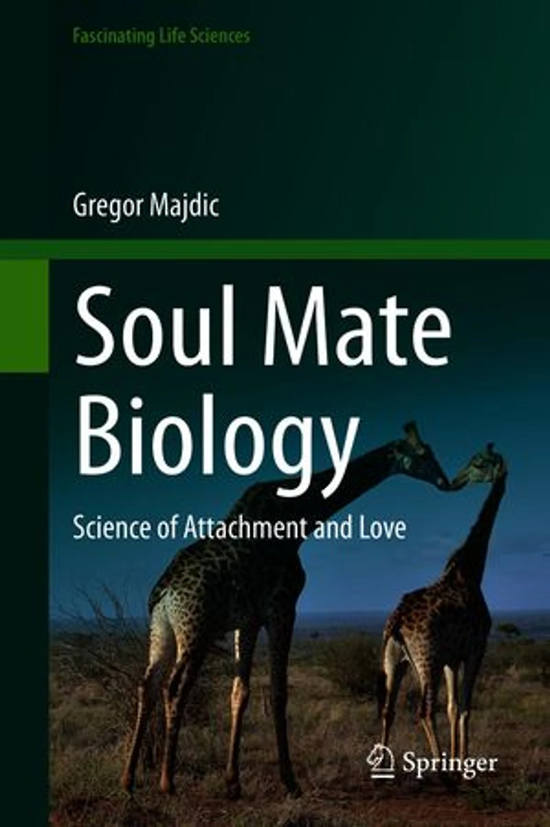 Soul Mate Biology: Science Of Attachment And Love