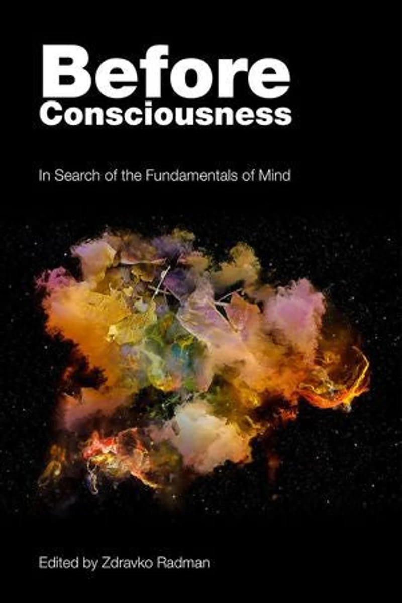 Before Consciousness: Search of the Fundamentals Mind