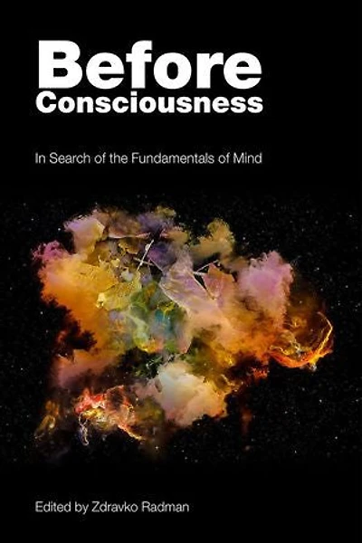 Before Consciousness: Search of the Fundamentals Mind