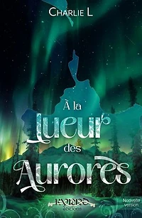 À la lueur des aurores: Romance d'hiver au cœur de la nuit polaire finlandaise