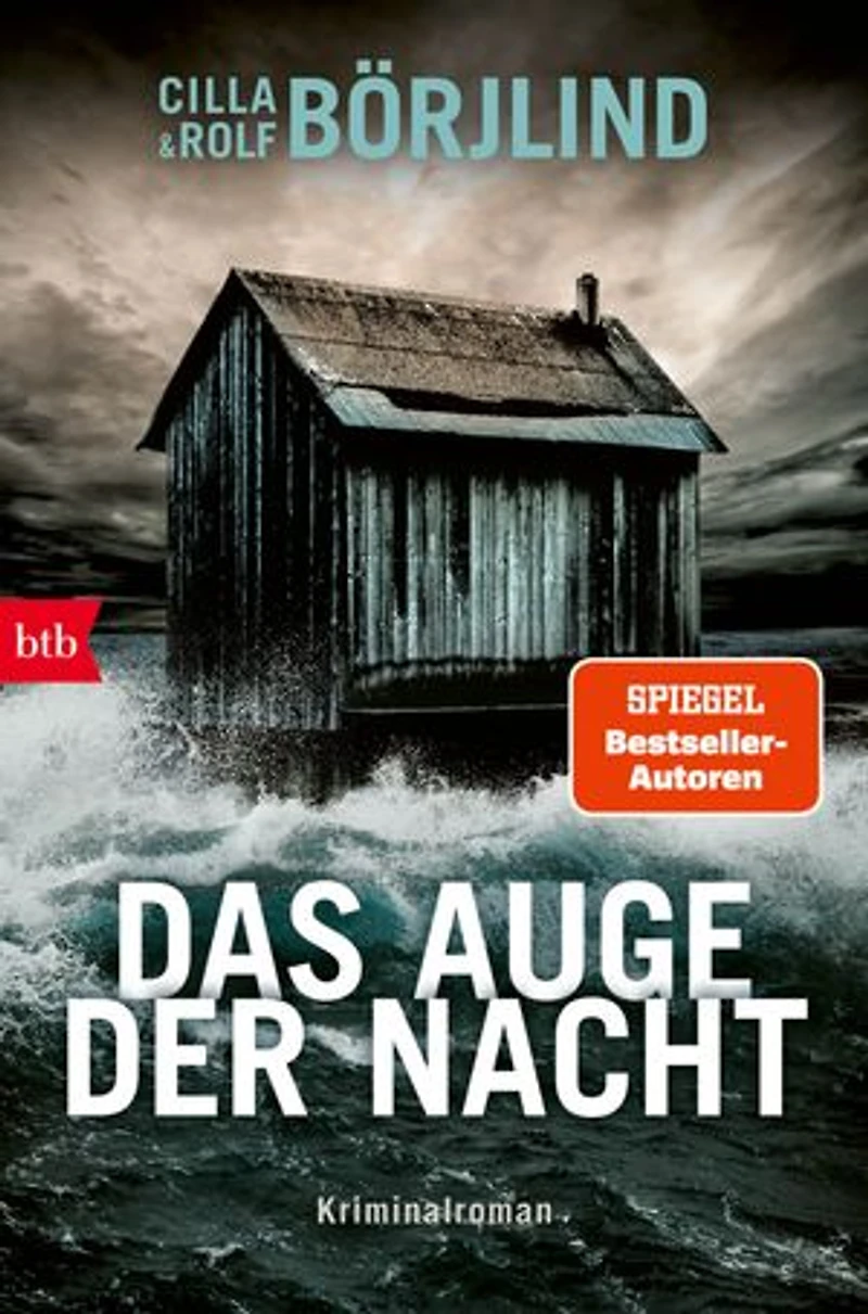 Das Auge der Nacht: Kriminalroman