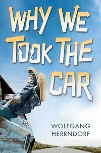 Why We Took the Car