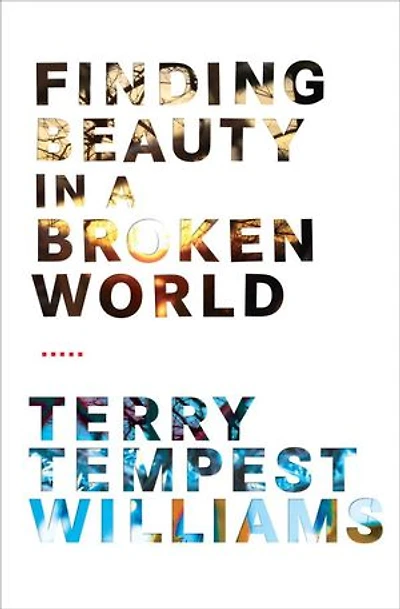 Finding Beauty a Broken World