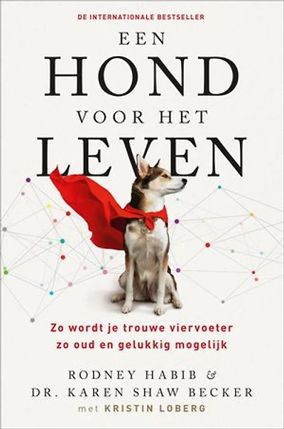 Een hond voor het leven: Zo wordt je trouwe viervoeter zo oud en gelukkig mogelijk