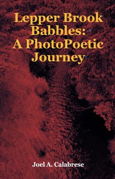 Lepper Brook Babbles: A Photopoetic Journey