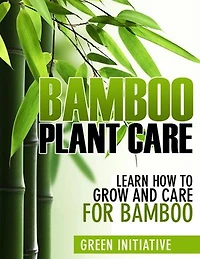Bamboo Plant Care - How to Grow and Care for Bamboo