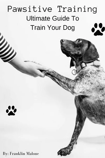 Pawsitive Training: Ultimate Guide To Train Your Dog