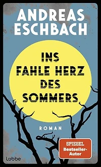 Ins fahle Herz des Sommers: Roman. Ein Roman, der nachdenklich macht: Was, wenn die Zukunft schon begonnen hat - nur ohne uns?