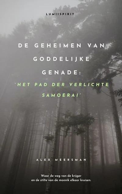 De Geheimen van Goddelijke Genade: Het Pad der Verlichte Samoerai