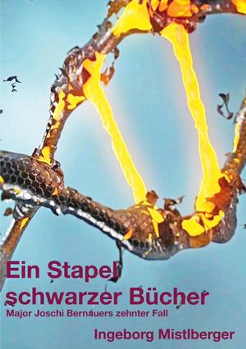 Ein Stapel schwarzer Bücher: Major Joschi Bernauers zehnter Fall