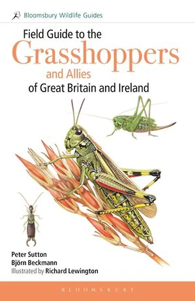 Field Guide to Grasshoppers and Allies of Great Britain Ireland: Grasshoppers, Crickets, Earwigs, Cockroaches, Mantids Stick-insects