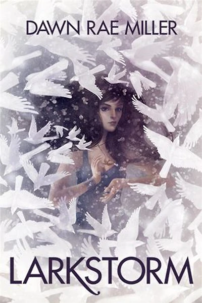Larkstorm: The Dark Witch Chronicles