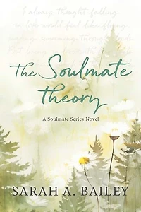 The Soulmate Theory