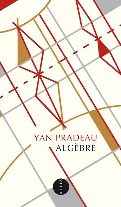 Algèbre : éléments de la vie d'Alexandre Grothendieck: Grothendieck