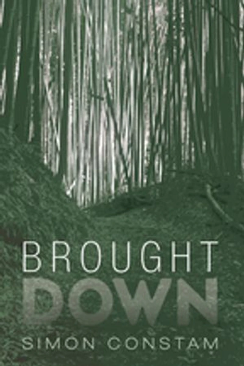 Brought Down
