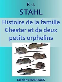 Histoire de la famille Chester et de deux petits orphelins: Texte intégral