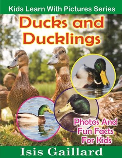 Ducks and Ducklings Photos and Fun Facts for Kids: Kids Learn With Pictures, #15
