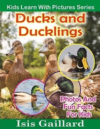 Ducks and Ducklings Photos and Fun Facts for Kids: Kids Learn With Pictures, #15