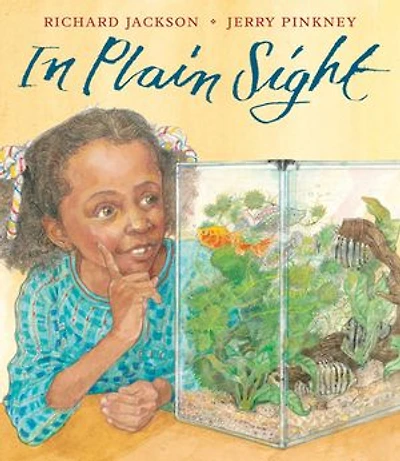 Plain Sight: A Game