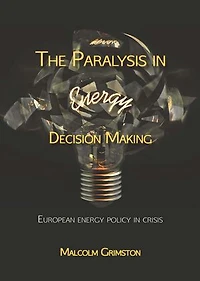 Paralysis energy Decision Making: Putting the back into energy?