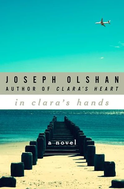 In Clara's Hands: A Novel