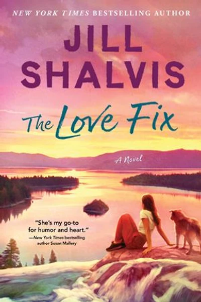 The Love Fix: A Novel