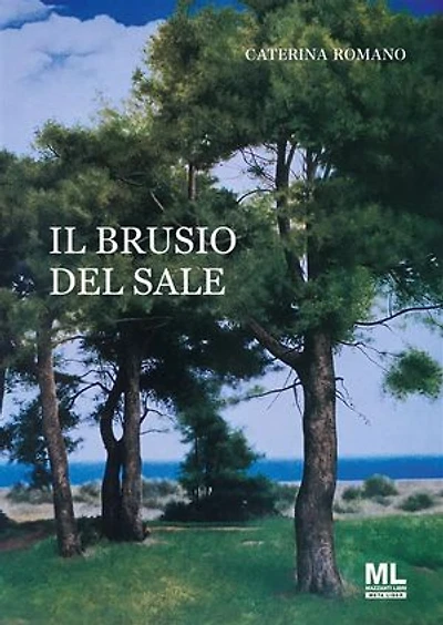 Il brusio del sale
