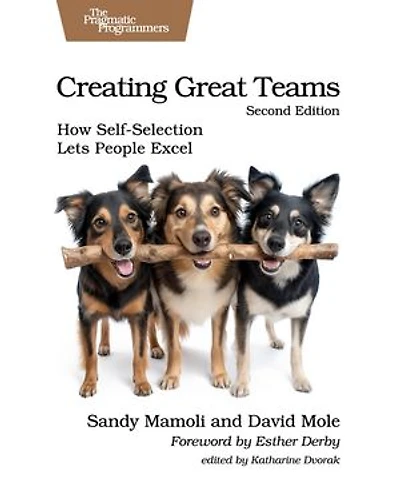 Creating Great Teams, Second Edition: How Self-Selection Lets People Excel