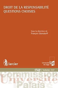 Droit de la responsabilité: questions choisies