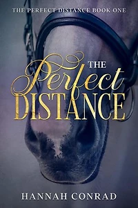The Perfect Distance: Fantasy Unleashed: The Perfect Distance, #1