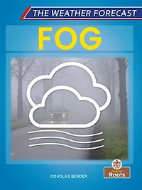 Fog