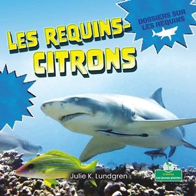Les requins-citrons (Lemon Sharks)