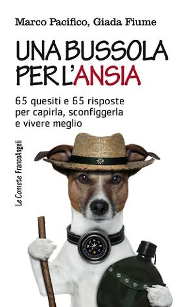 Una bussola per l'ansia: 65 quesiti e 65 risposte per capirla, sconfiggerla e vivere meglio