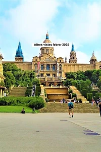 Altres vistes febrer 2025