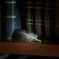 Une plume mystérieuse et les secrets de la bibliothèque