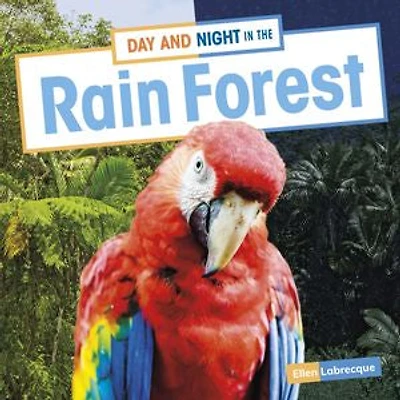 Day and Night in the Rain Forest