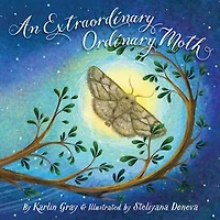 An Extraordinary Ordinary Moth