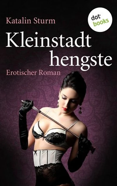 Kleinstadthengste: Erotischer Roman
