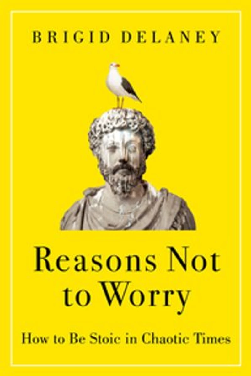 Reasons Not to Worry: How Be Stoic Chaotic Times