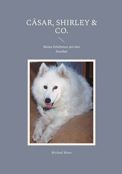 Cäsar, Shirley & Co.: Meine Erlebnisse mit den Hunden