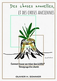 Des choses nouvelles, et des choses anciennes: Comment trouver son trésor dans la bible? Témoignage d'un chemin
