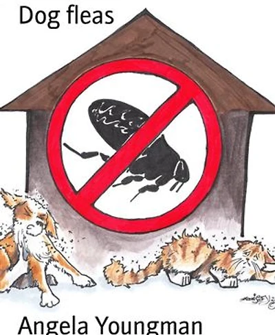 Dog fleas: How to cope