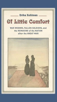 Of Little Comfort: War Widows, Fallen Soldiers, And The Remaking Nation After Great