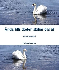 Ända tills döden skiljer oss åt – kriminalnovell