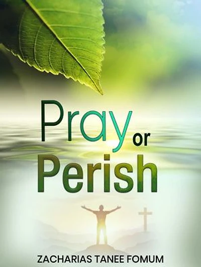 Pray or Perish: Prayer Power Series, #27