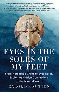 Eyes in the Soles of My Feet