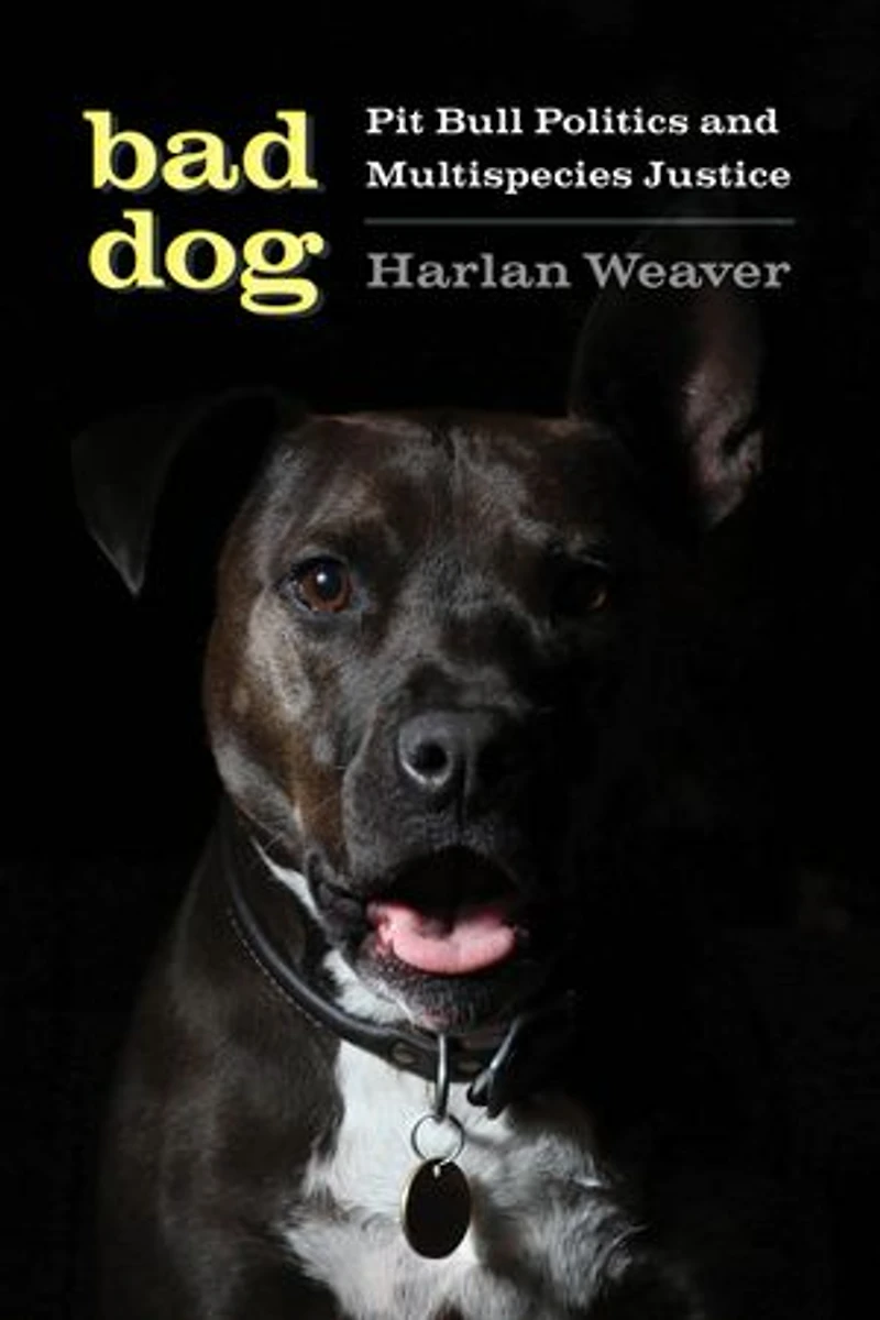 Bad Dog: Pit Bull Politics And Multispecies Justice